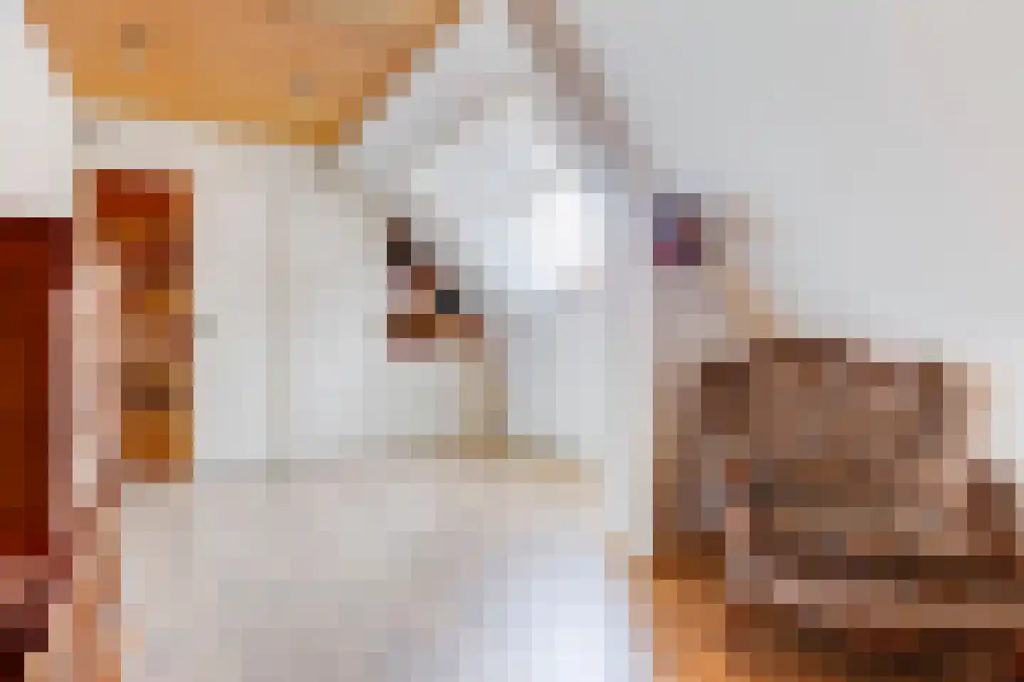 Raadhuisstraat 10 Linschoten thumbnail 27