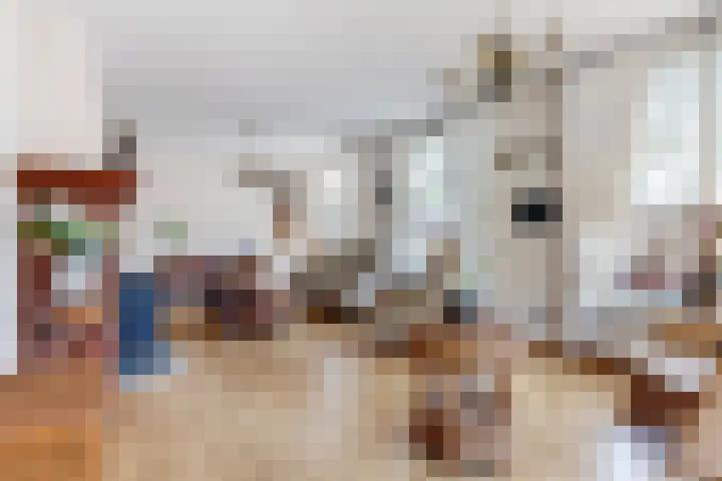 Raadhuisstraat 10 Linschoten thumbnail 4