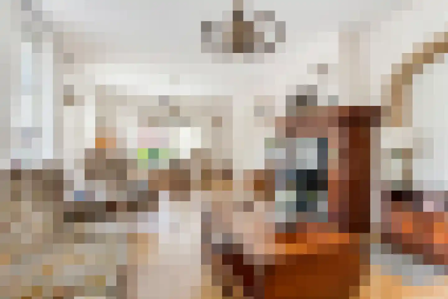 Raadhuisstraat 10 Linschoten thumbnail 8