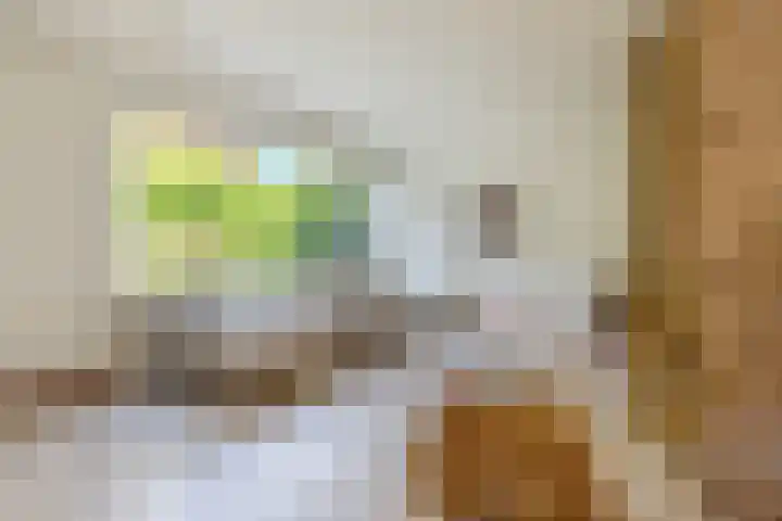 Raadhuisstraat 10 Oudorp thumbnail 10