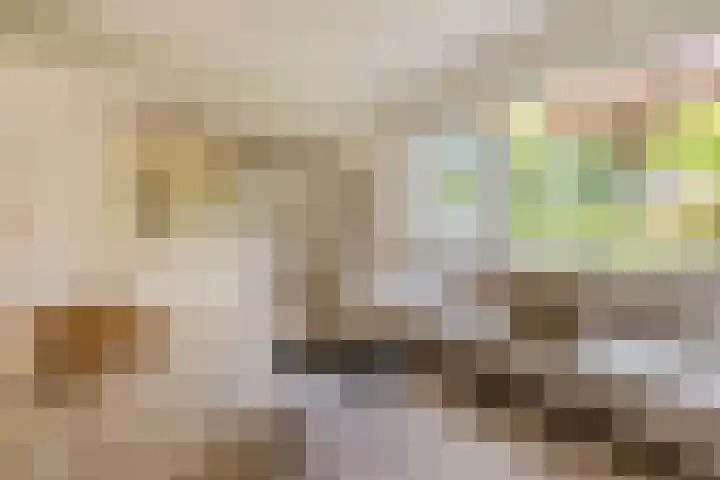 Raadhuisstraat 10 Oudorp thumbnail 11