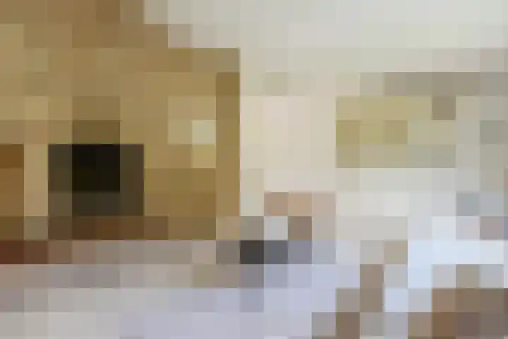 Raadhuisstraat 10 Oudorp thumbnail 12