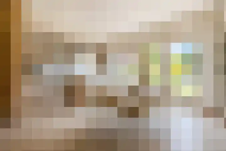 Raadhuisstraat 10 Oudorp thumbnail 14