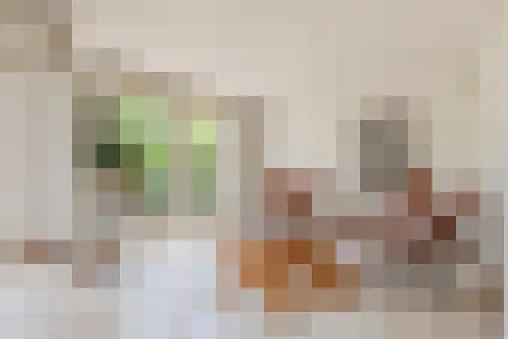 Raadhuisstraat 10 Oudorp thumbnail 15
