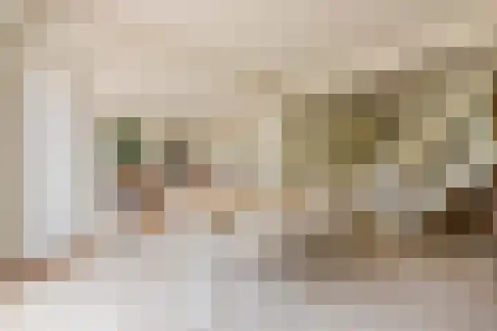 Raadhuisstraat 10 Oudorp thumbnail 17