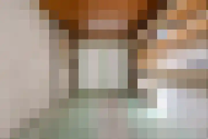 Raadhuisstraat 10 Oudorp thumbnail 23