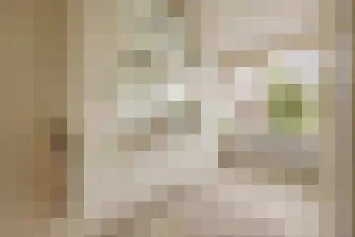 Raadhuisstraat 10 Oudorp thumbnail 29