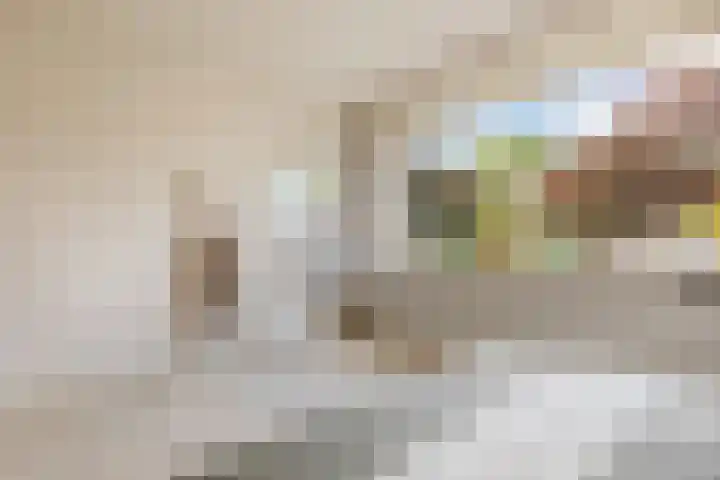 Raadhuisstraat 10 Oudorp thumbnail 32