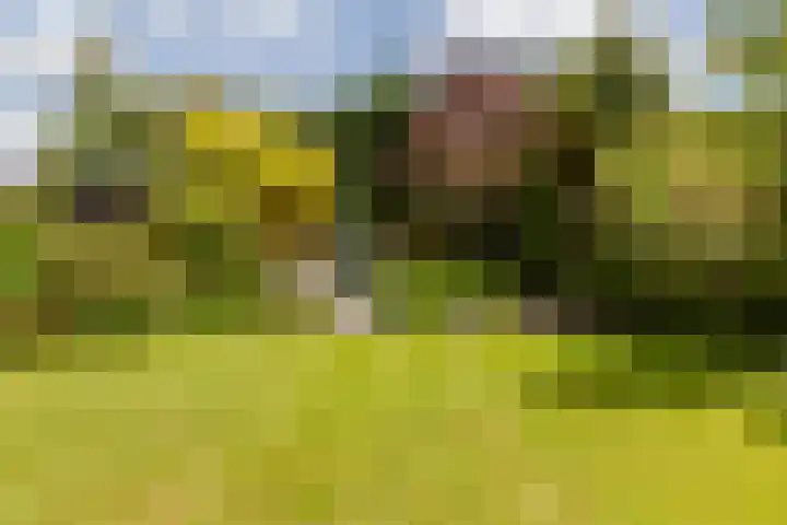 Raadhuisstraat 10 Oudorp thumbnail 43