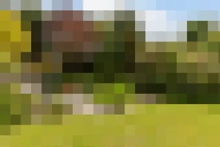 Raadhuisstraat 10 Oudorp thumbnail 44