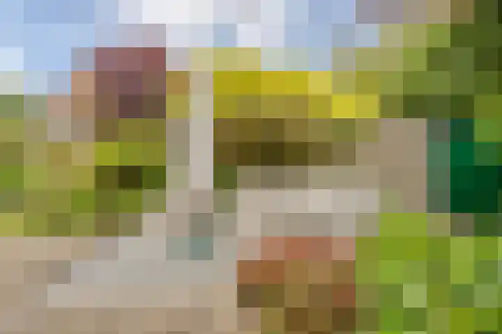 Raadhuisstraat 10 Oudorp thumbnail 45