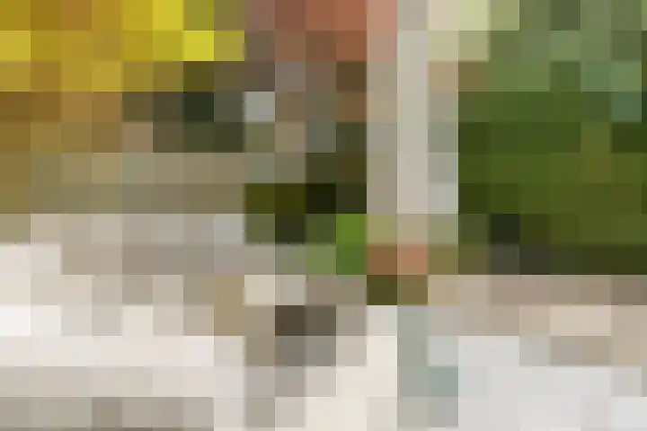 Raadhuisstraat 10 Oudorp thumbnail 46