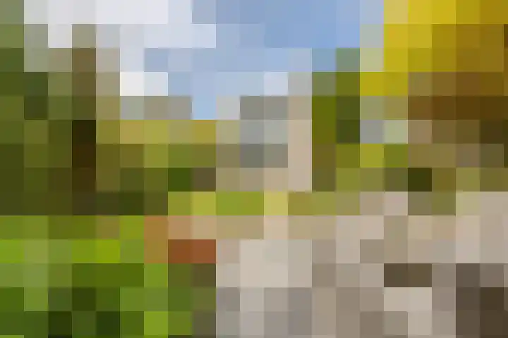 Raadhuisstraat 10 Oudorp thumbnail 47