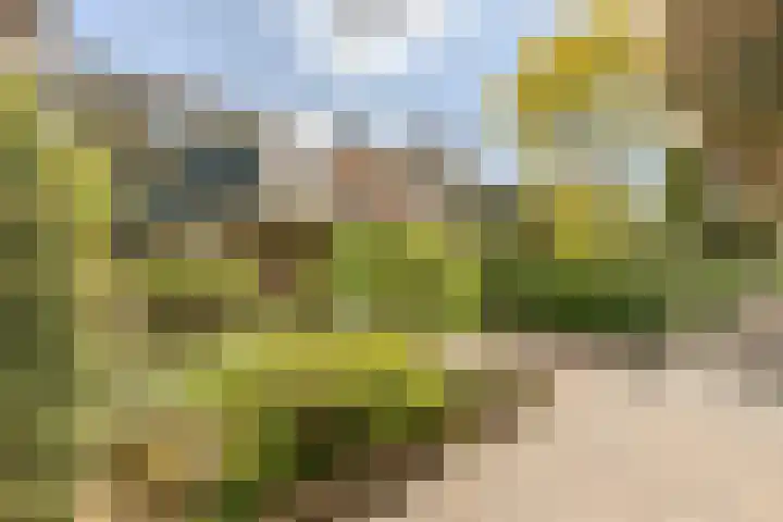 Raadhuisstraat 10 Oudorp thumbnail 5