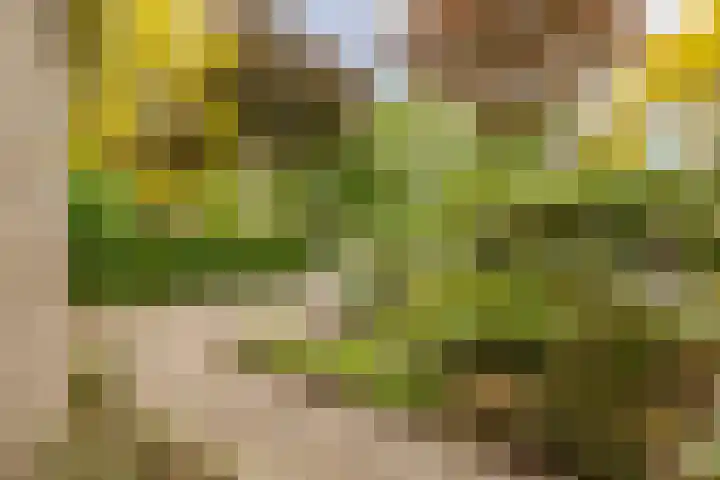 Raadhuisstraat 10 Oudorp thumbnail 51