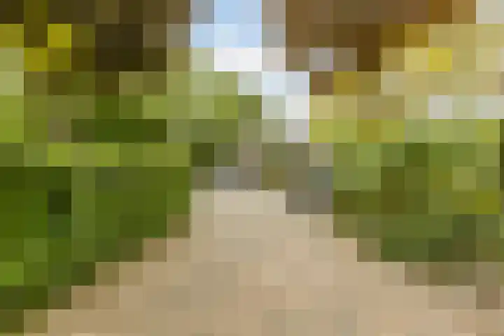 Raadhuisstraat 10 Oudorp thumbnail 52