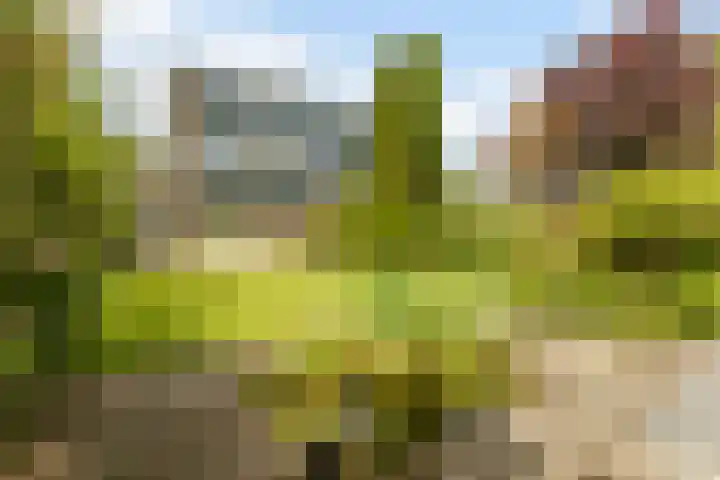 Raadhuisstraat 10 Oudorp thumbnail 58