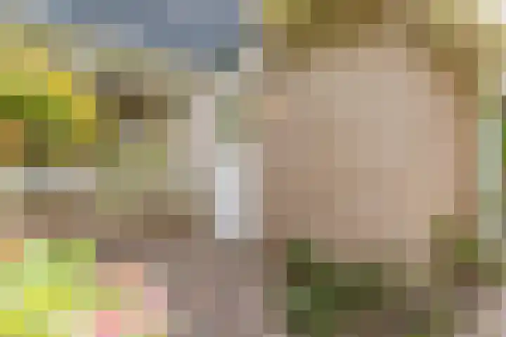 Raadhuisstraat 10 Oudorp thumbnail 6