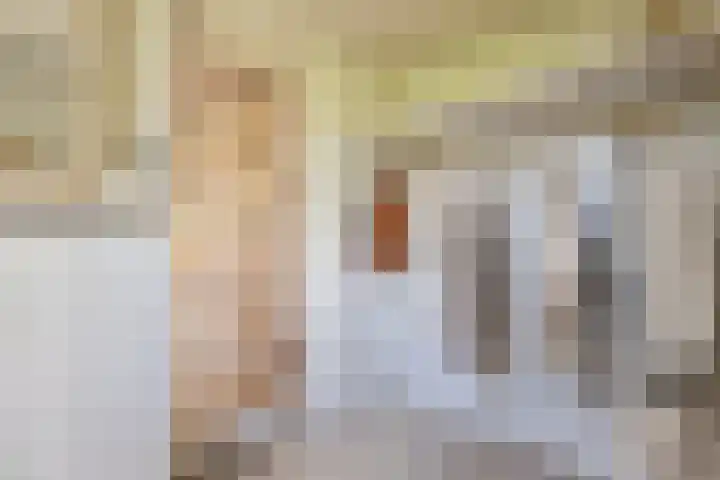 Raadhuisstraat 10 Oudorp thumbnail 8