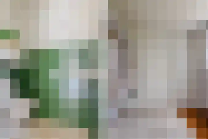 Raadhuisstraat 10 Oudorp thumbnail 9