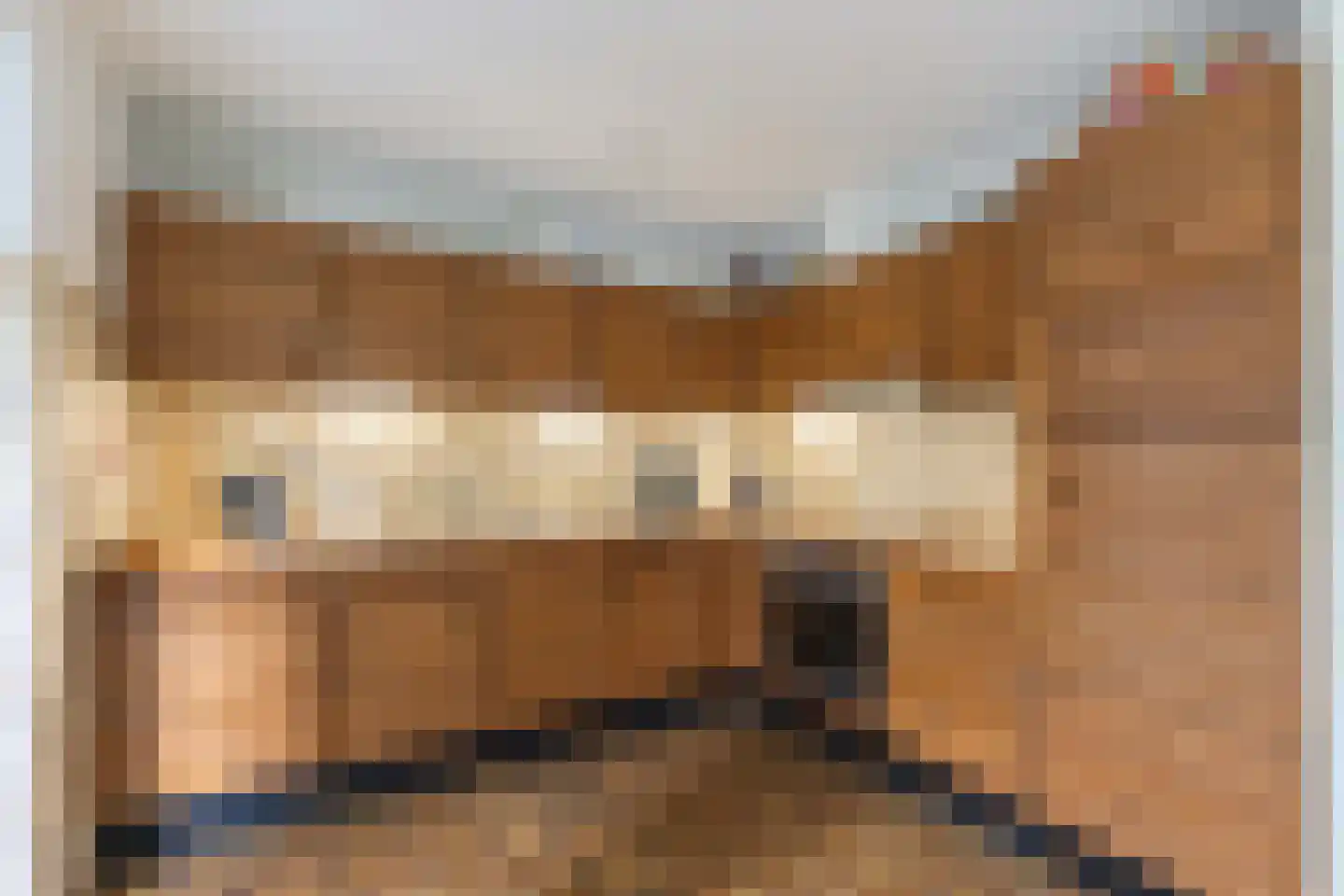Raadhuisstraat 10 's-Heer Arendskerke thumbnail 12