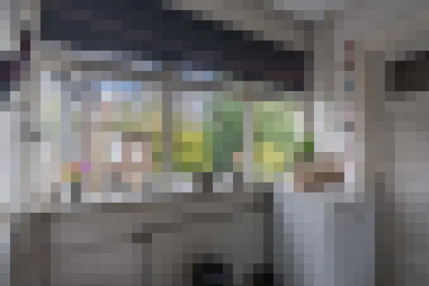 Raadhuisstraat 10 's-Heer Arendskerke thumbnail 23