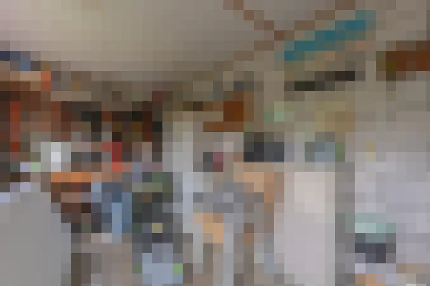 Raadhuisstraat 10 's-Heer Arendskerke thumbnail 25