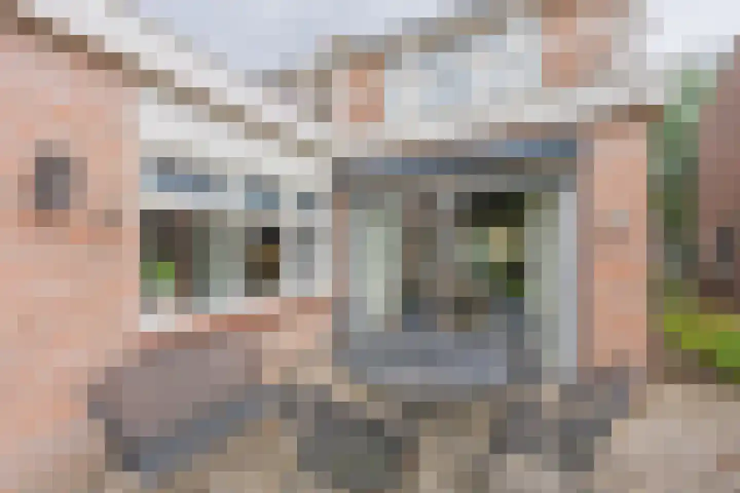 Raadhuisstraat 10 's-Heer Arendskerke thumbnail 27