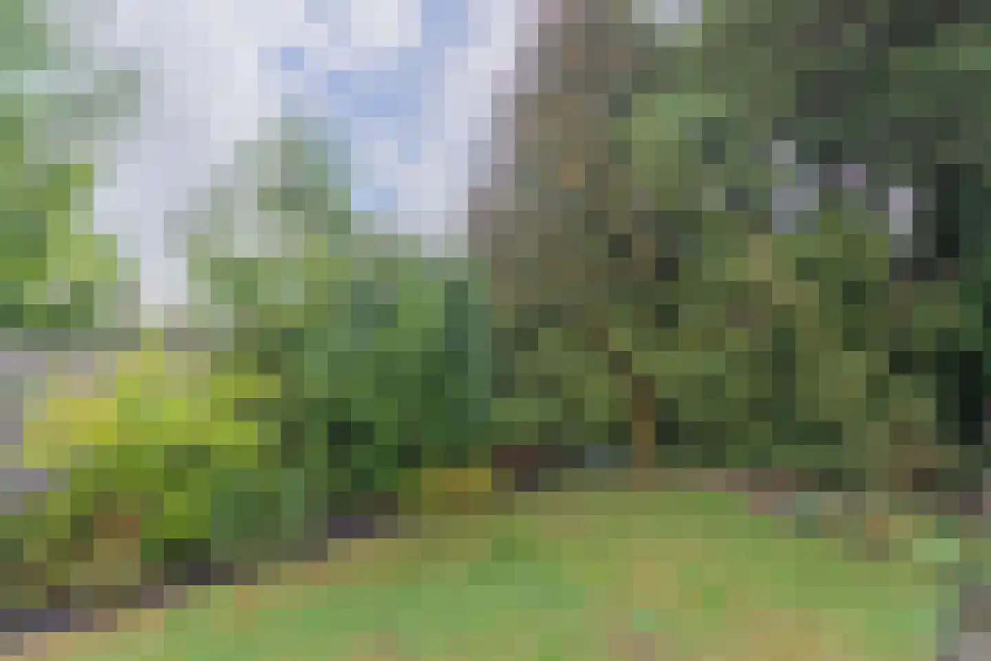 Raadhuisstraat 10 's-Heer Arendskerke thumbnail 33