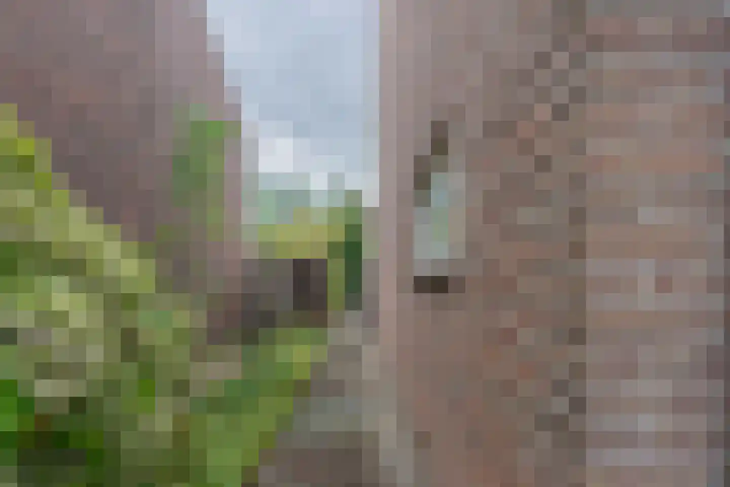 Raadhuisstraat 10 's-Heer Arendskerke thumbnail 36