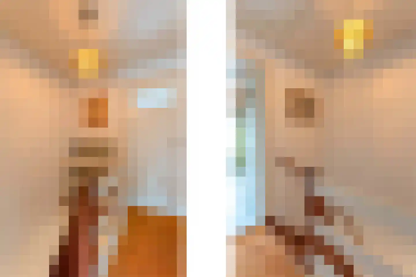 Raadhuisstraat 10 's-Heer Arendskerke thumbnail 37