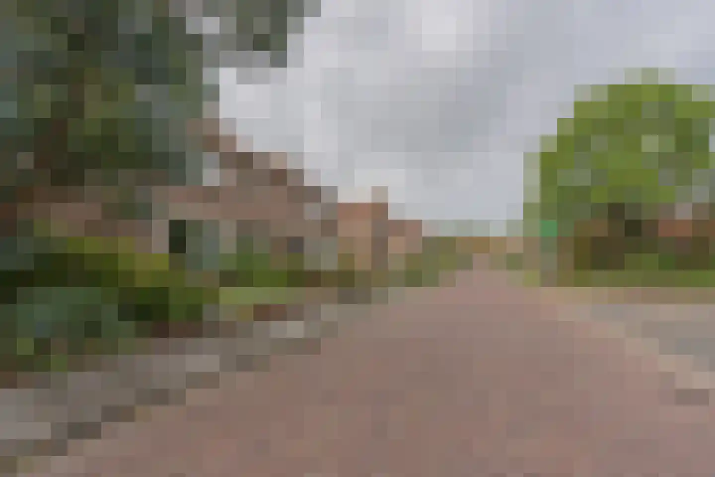 Raadhuisstraat 10 's-Heer Arendskerke thumbnail 4