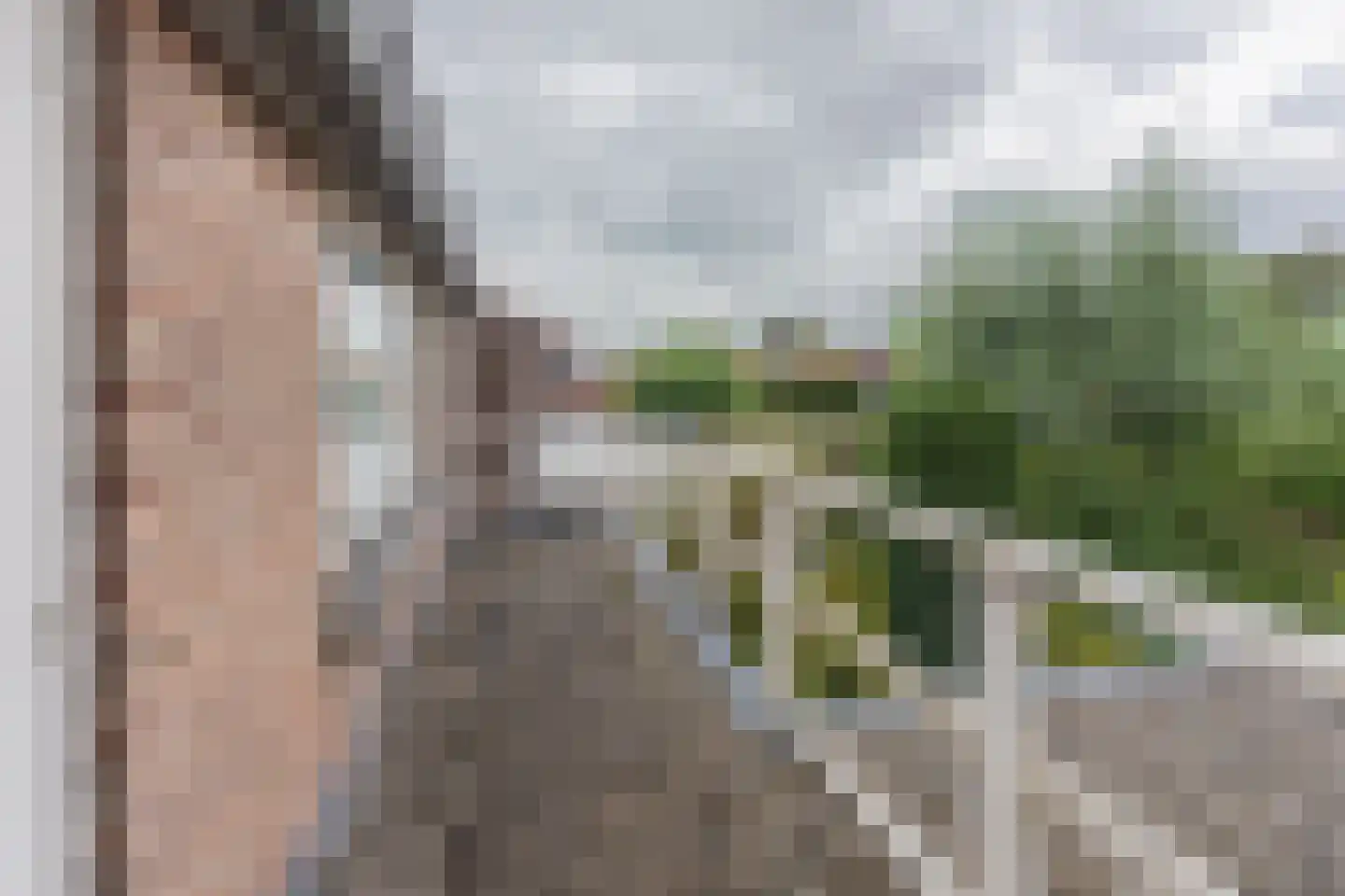 Raadhuisstraat 10 's-Heer Arendskerke thumbnail 45
