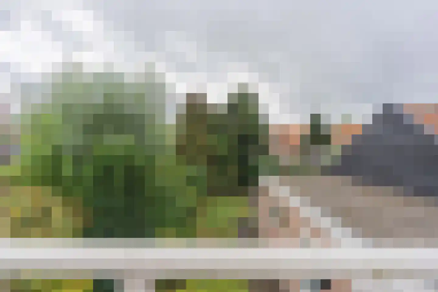 Raadhuisstraat 10 's-Heer Arendskerke thumbnail 47