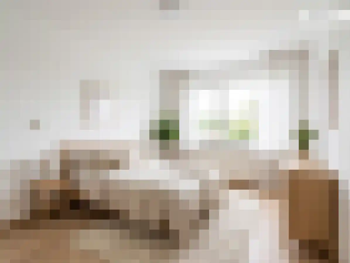 Raadhuisstraat 10 Wijdenes thumbnail 17