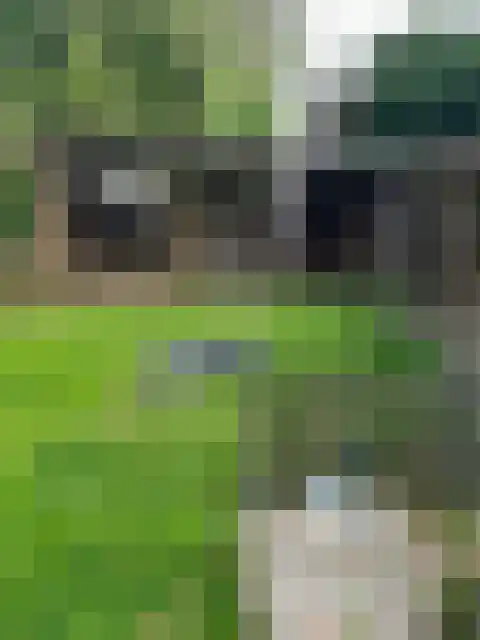 Raadhuisstraat 10 Wijdenes thumbnail 28