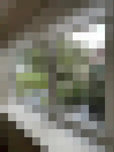 Raadhuisstraat 10 Wijdenes thumbnail 35