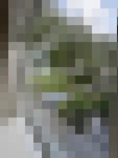 Raadhuisstraat 10 Wijdenes thumbnail 36