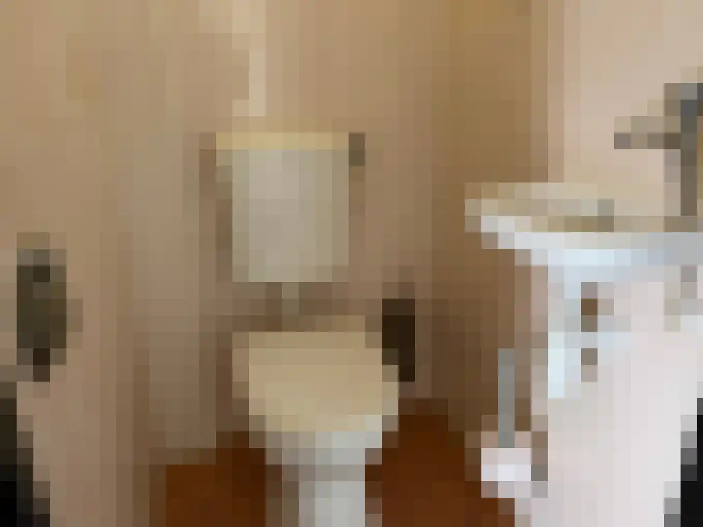 Raadhuisstraat 10 Wijdenes thumbnail 6