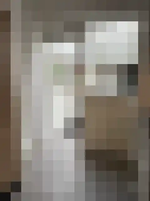 Raadhuisstraat 10 Wijdenes thumbnail 8