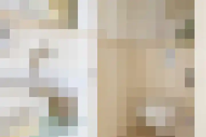 Raadhuisstraat 10 Wijdewormer thumbnail 10