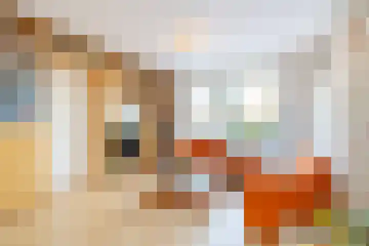 Raadhuisstraat 10 Wijdewormer thumbnail 11
