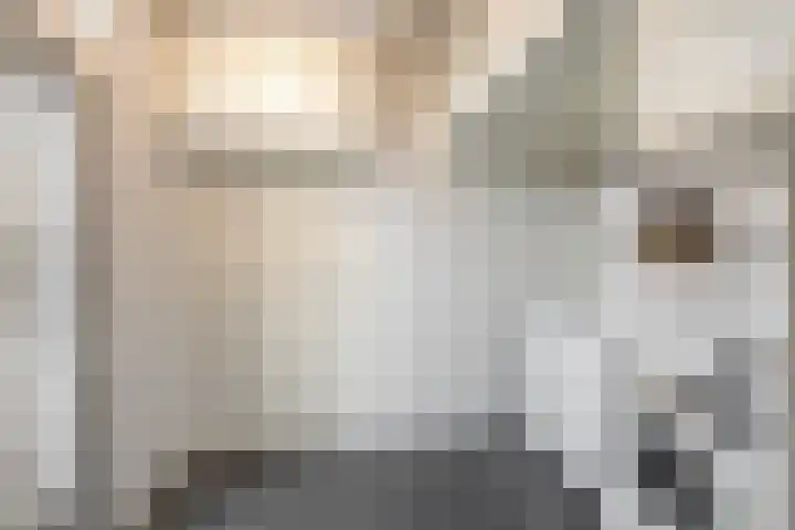 Raadhuisstraat 10 Wijdewormer thumbnail 26