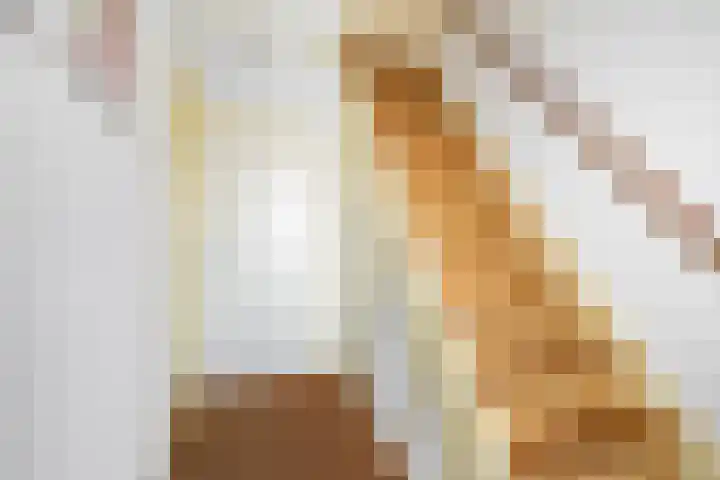 Raadhuisstraat 10 Wijdewormer thumbnail 29
