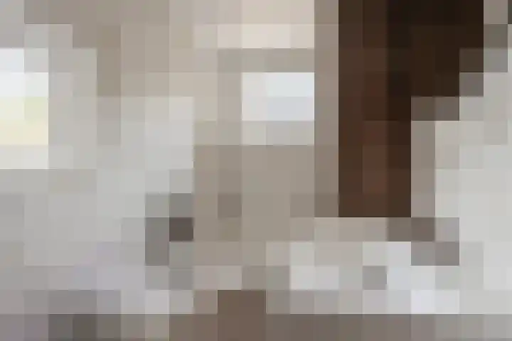 Raadhuisstraat 10 Wolvega thumbnail 10