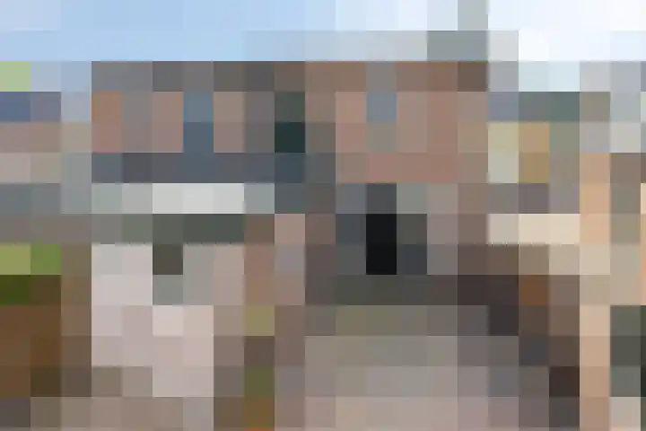 Raadhuisstraat 10 Wolvega thumbnail 29