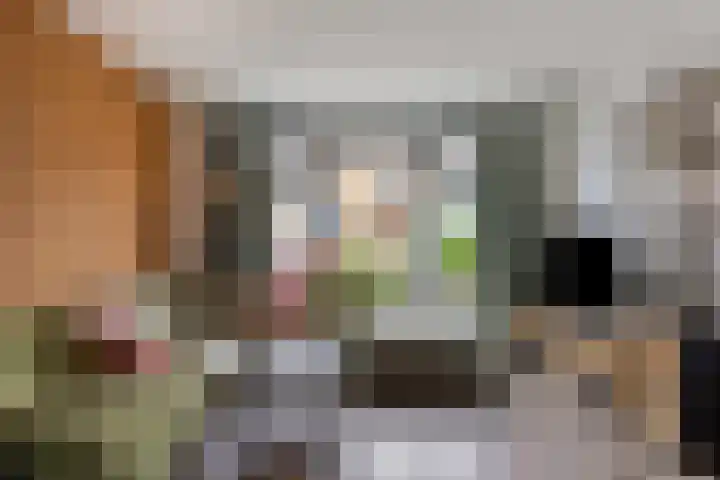 Raadhuisstraat 10 Wolvega thumbnail 4