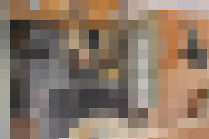 Raadhuisstraat 10 Wolvega thumbnail 6