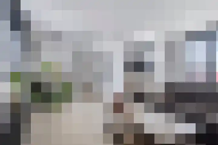 Raadhuisstraat 101 Beverwijk thumbnail 10