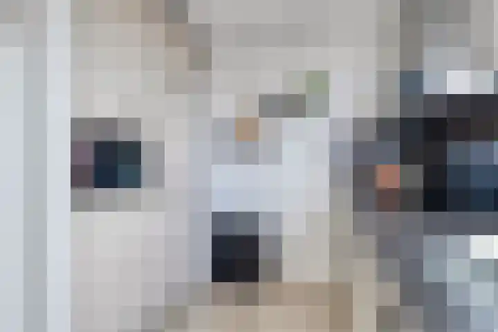 Raadhuisstraat 101 Beverwijk thumbnail 13